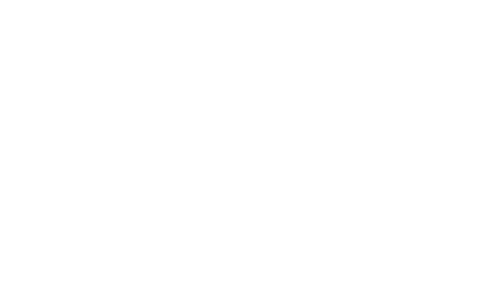 Wisos Logo Wht